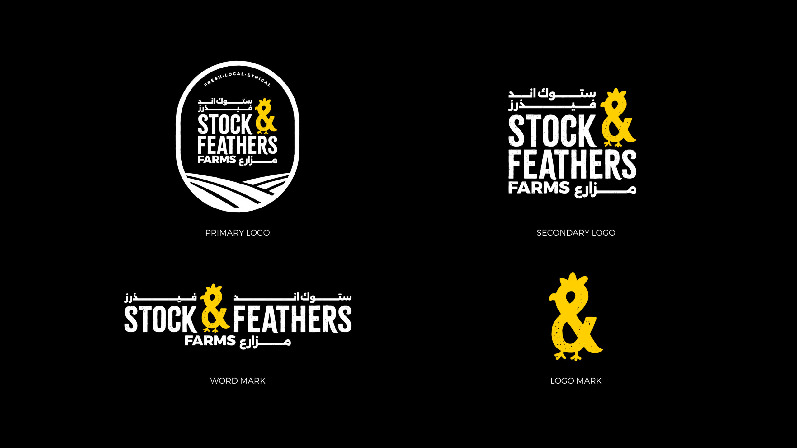 STOCK-FEATHERS_WEBSITE-CASE-STUDIES-02